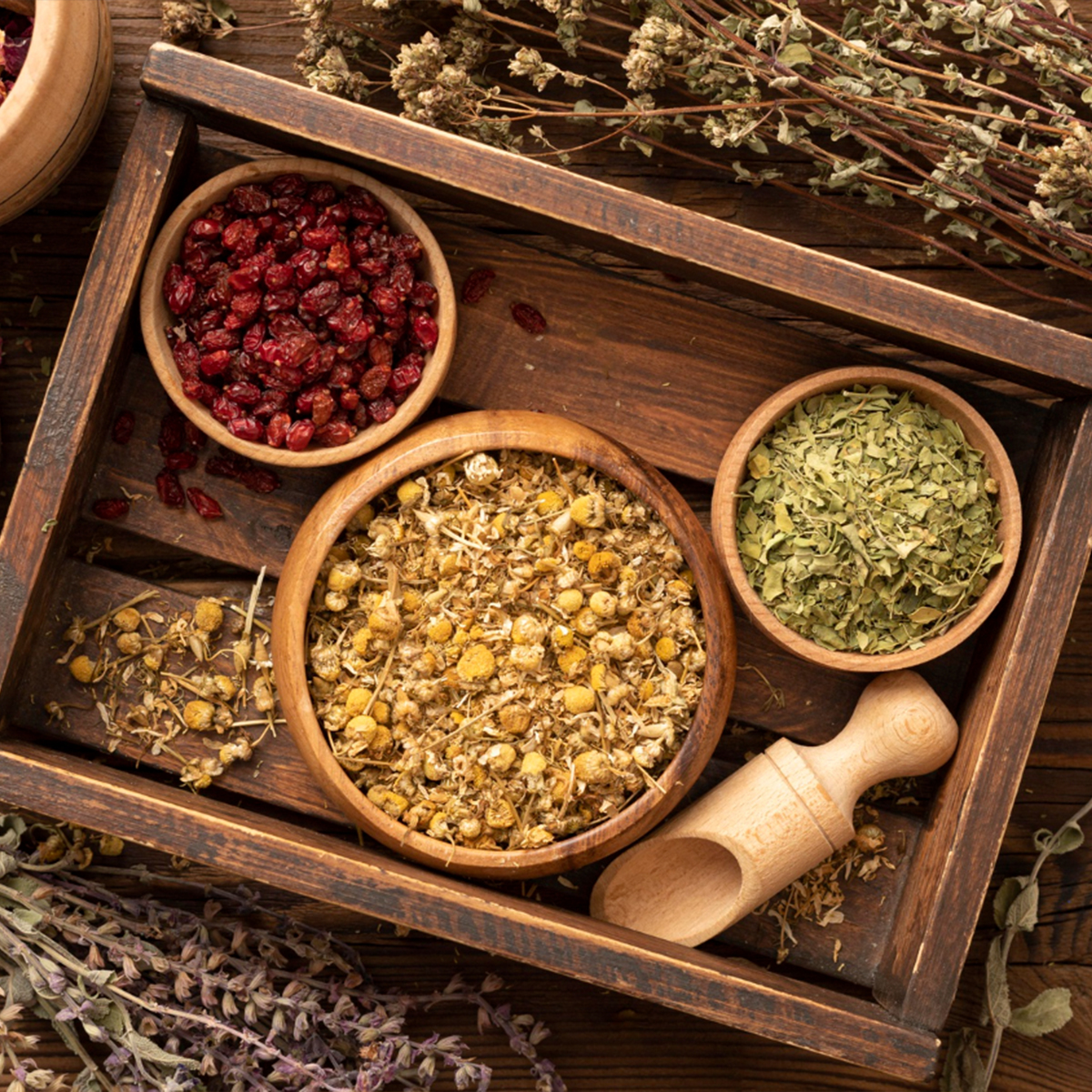 Estanterías del mercado natural Eneldo con variedad de productos saludables y herbosteria.